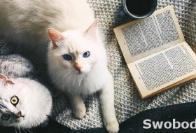 Книги по психологии для женщин