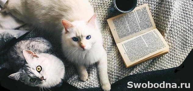 Книги по психологии для женщин